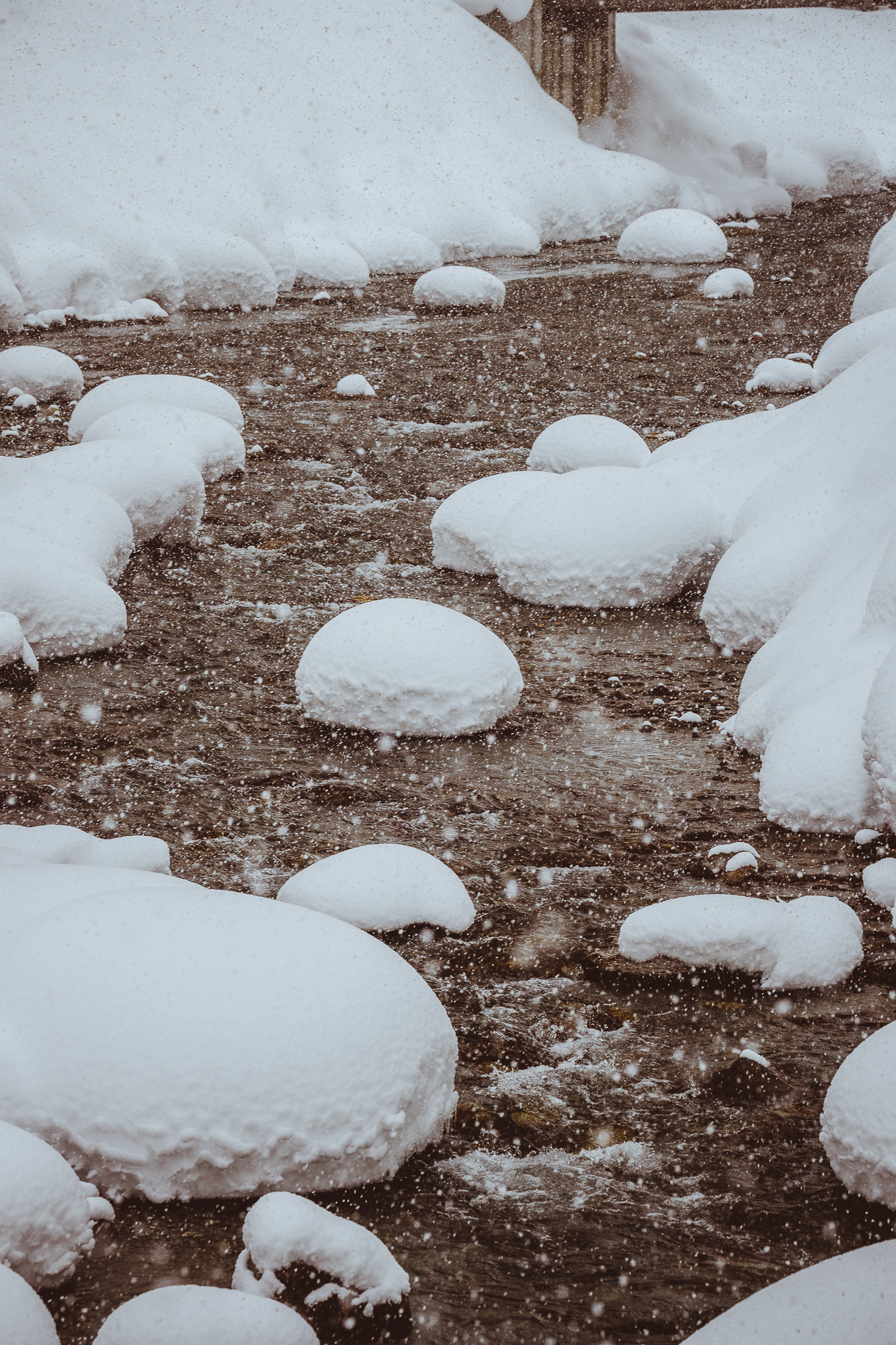 Export x3 1DX29401 Verlobungsfotoshooting 2018 Anna & Dominik